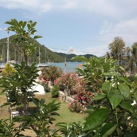 Palmiye Hotel & Marina Orhaniye  Exterior photo