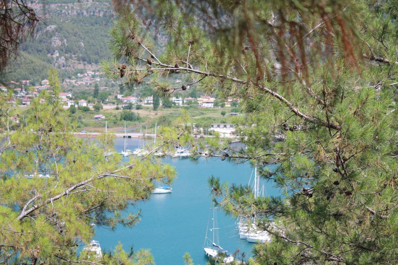 Palmiye Hotel & Marina Orhaniye  Exterior photo